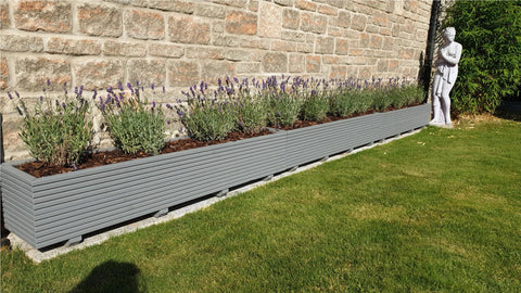 2 rows of decking trough wooden planters painted with Cuprinol's Silver Birch