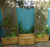 Block style trough wooden planters with trellis